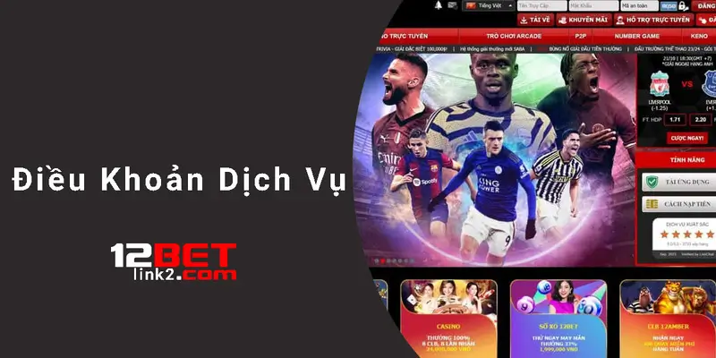 Điều khoản dịch vụ 12bet