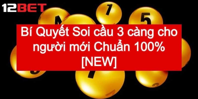 Có nên soi cầu xổ số 3 càng thường xuyên không?