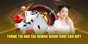 Sơ lược về thương hiệu New88